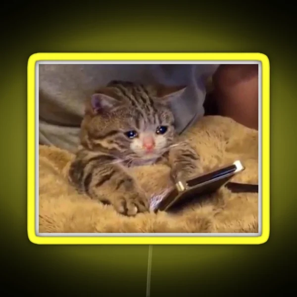 Crying Cat With Phone RGB Neon Sign