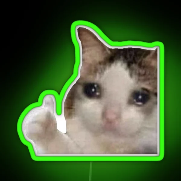 Crying Cat With Thumbs Up RGB Neon Sign