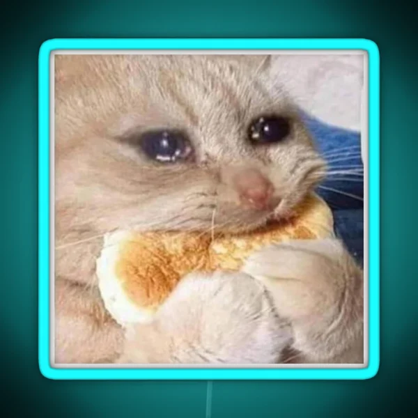 Crying Cookie Cat Meme Funny Meme RGB Neon Sign