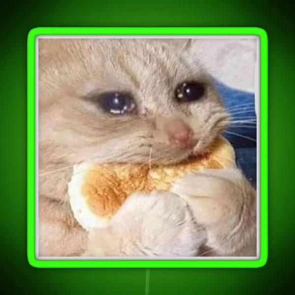 Crying Cookie Cat Meme Funny Meme RGB Neon Sign