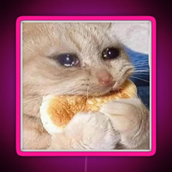 Crying Cookie Cat Meme Funny Meme RGB Neon Sign