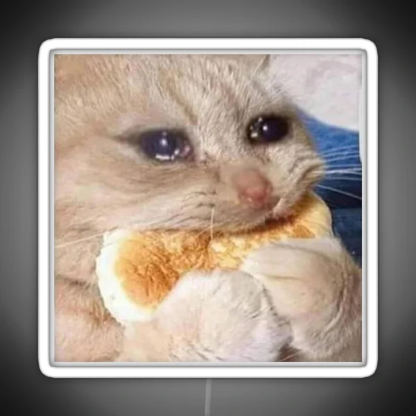 Crying Cookie Cat Meme Funny Meme RGB Neon Sign