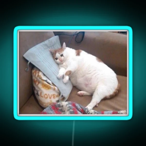 Crying Fat Cat RGB Neon Sign