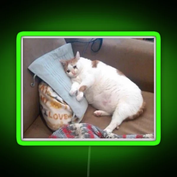 Crying Fat Cat RGB Neon Sign