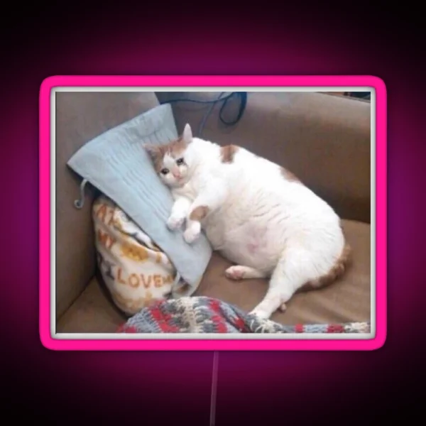 Crying Fat Cat RGB Neon Sign