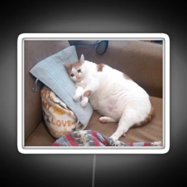 Crying Fat Cat RGB Neon Sign