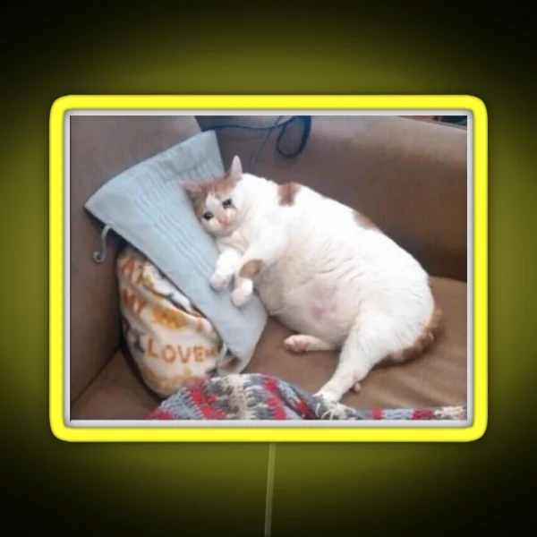 Crying Fat Cat RGB Neon Sign