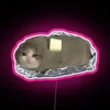 Crying cat meme as a colorful, glowing kitchen decor novelty.