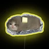 Vibrant RGB LED Neon Sign Featuring Crying Cat Meme Design