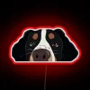 Vibrant Neon Sign Featuring Curious Freckles the Bernese Mountain Dog
