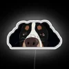 Whimsical Home Decor Neon Sign Featuring A Friendly Bernese Mountain Dog