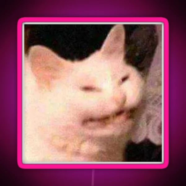 Cursed Cat Meme RGB Neon Sign