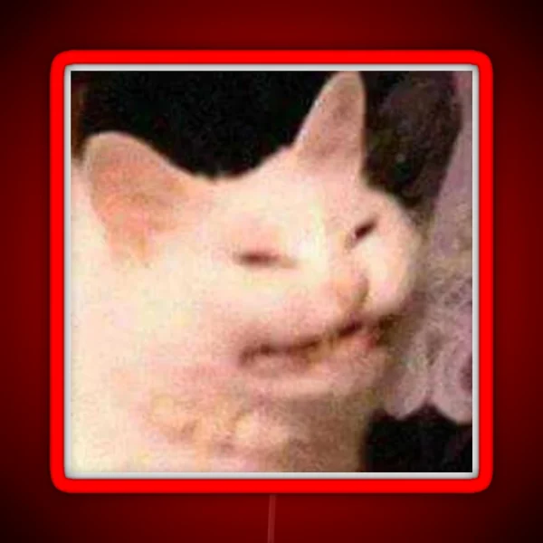 Cursed Cat Meme RGB Neon Sign