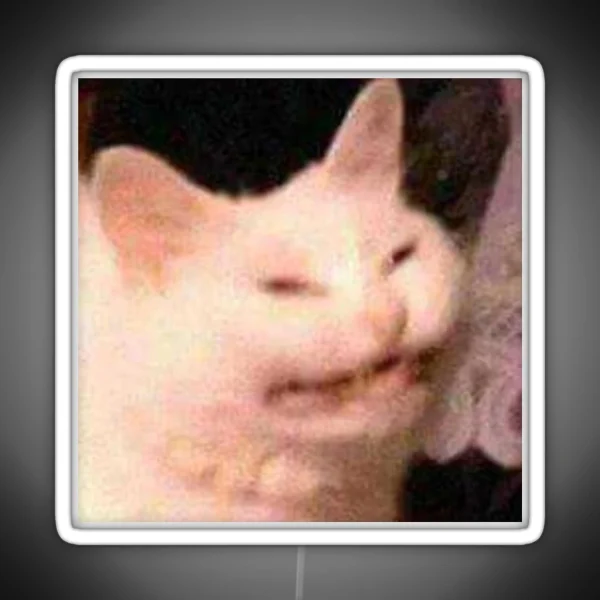 Cursed Cat Meme RGB Neon Sign