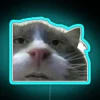 RGB Illuminated Cursed Cat Meme Neon Sign for Dark Humor Fans