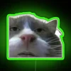 Add quirky humor to your space with cursed cat RGB neon.