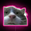Cursed Feline Mischief in Vibrant RGB Neon Glowing Sign
