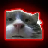 Ironic Cursed Cat Meme in Vibrant RGB Neon Lighting Display