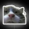 RGB Neon Meme Sign with Cursed Cat Internet Pop Culture Nostalgia