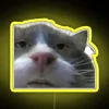 RGB LED neon display features cursed cat meme design artwork.