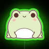 Add whimsical charm with this RGB neon frog sign lighting.