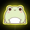 Color changing led neon lighting decoration with cute animated frog design