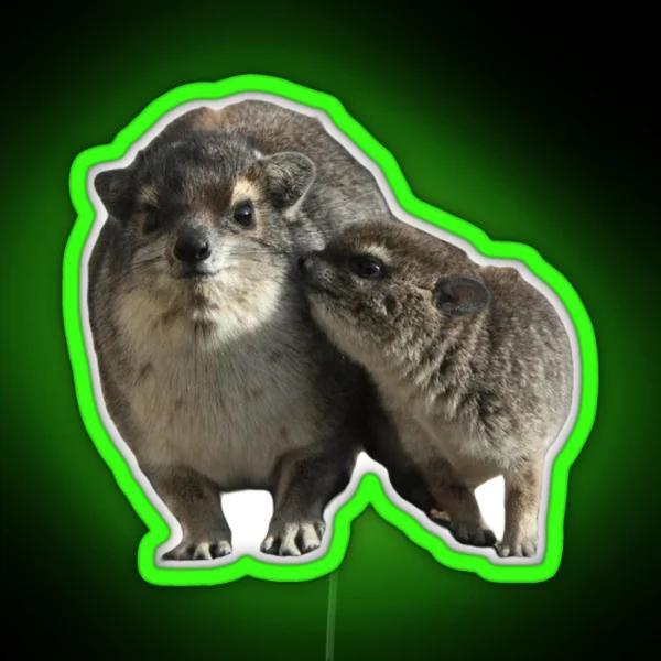 Cute Mom And Baby Hyrax RGB Neon Sign