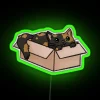 Neon cat in a box retro feline decor art