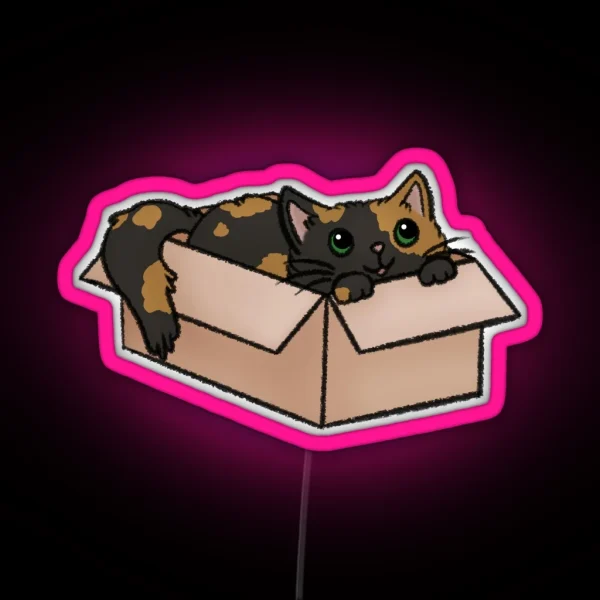 Cute Tortie Cat In A Box RGB Neon Sign