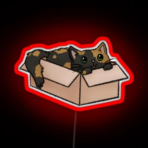 Cute Tortie Cat In A Box RGB Neon Sign