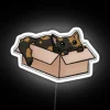 Whimsical Feline-Inspired Neon Sign for Cat Lover Home Decor Enthusiasts