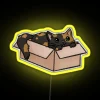 Cozy Whimsical Feline Bedroom Decorative Neon Sign with Color-Changing LEDs