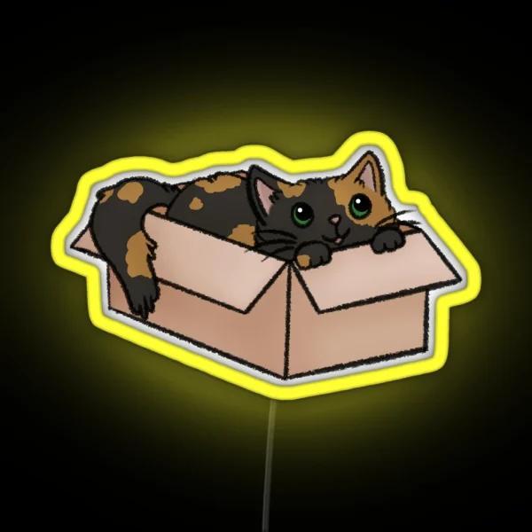 Cute Tortie Cat In A Box RGB Neon Sign