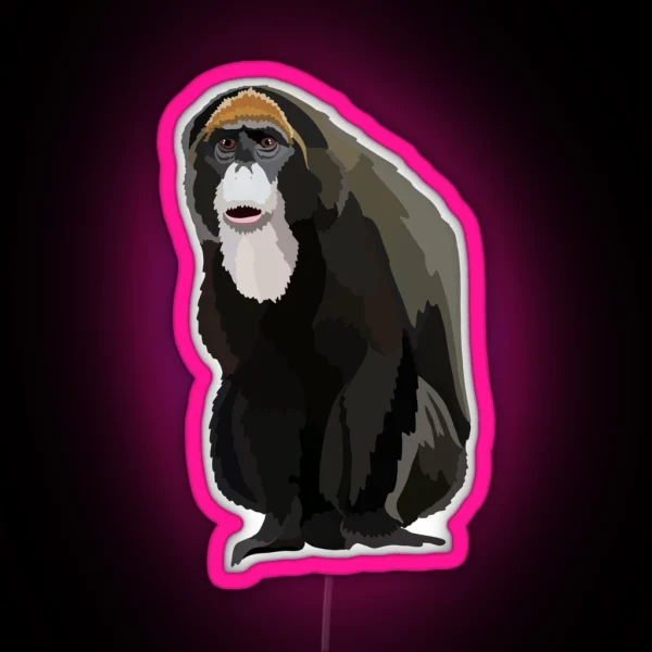 D Is For De Brazza S Monkey RGB Neon Sign