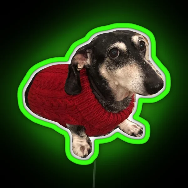 Dachshund In Sweater RGB Neon Sign