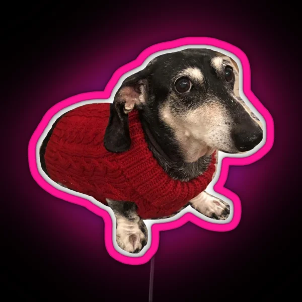 Dachshund In Sweater RGB Neon Sign