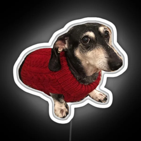 Dachshund In Sweater RGB Neon Sign