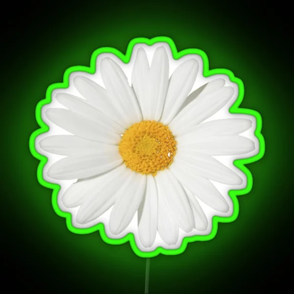 Daisy RGB Neon Sign