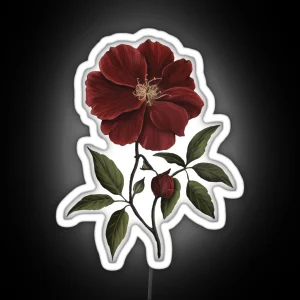 Dark Academia Victorian Red Flower RGB Neon Sign