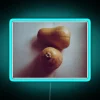 Vibrant Dark Squash Colored Neon Sign with RGB Lighting Effect