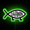 Eye-catching Darwin City RGB color-changing neon bar pub decor sign.