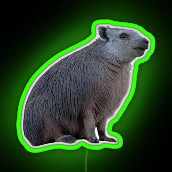 Dassie Hyrax RGB Neon Sign