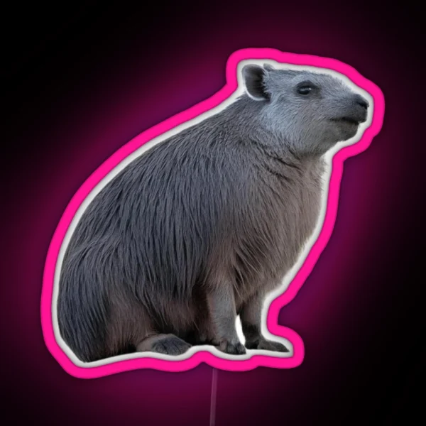 Dassie Hyrax RGB Neon Sign