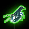 Add a touch of modern style with vibrant neon lighting