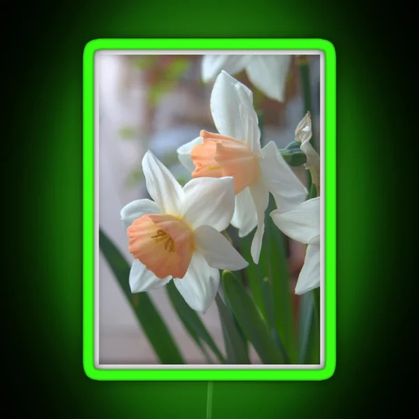 Delicate Daffodils RGB Neon Sign