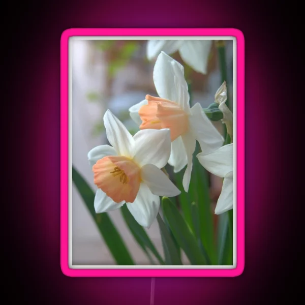 Delicate Daffodils RGB Neon Sign