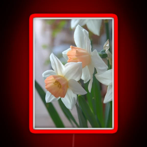 Delicate Daffodils RGB Neon Sign