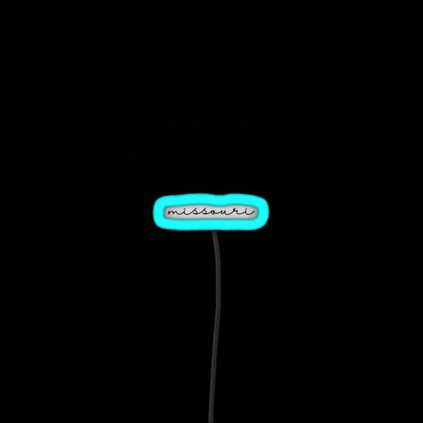 Delicate Missouri Font RGB Neon Sign