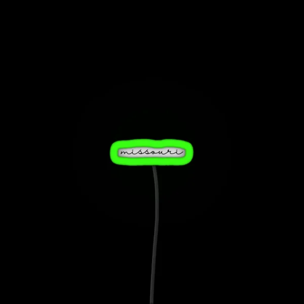 Delicate Missouri Font RGB Neon Sign