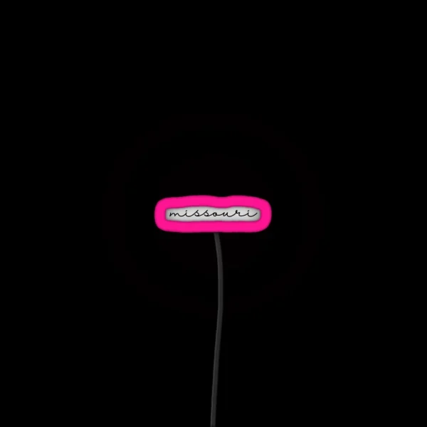 Delicate Missouri Font RGB Neon Sign